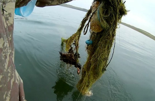 Kırıkkale'de Kızılırmak'a bırakılan hayalet ağ katliama neden oldu