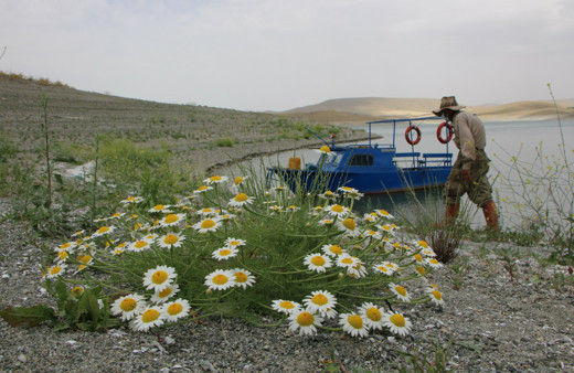 Keban Barajı'nda yaşıyor Robinson Ziya dede adasına kavuştu