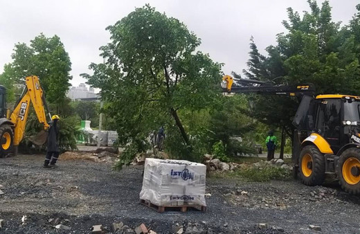 Beylikdüzü'nde belediye ekiplerinin 160 ağacı söktüğü iddiası tepki çekti