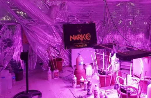 Kaldıkları evi kenevir yetiştirmek için adeta laboratuvara dönüştürmüşler