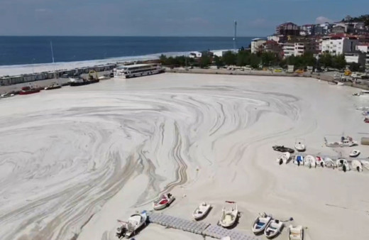 Çınarcık sahili deniz salyasıyla kaplandı