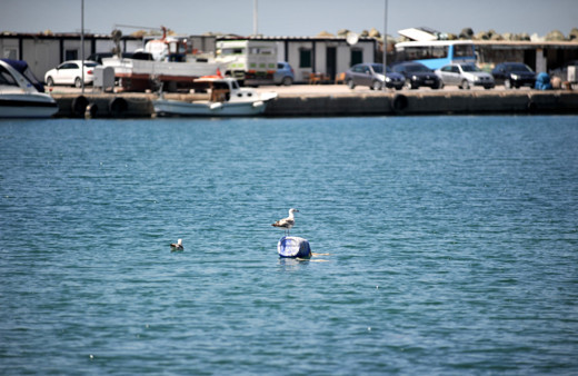 Yalova Çınarcık sahilini kaplayan deniz salyası rüzgarla dağıldı