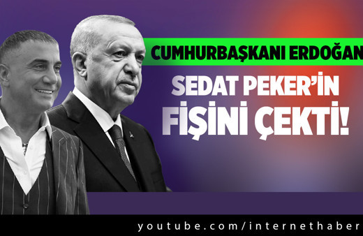 Cumhurbaşkanı Erdoğan Sedat Peker'in fişini çekti!