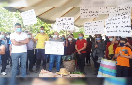 Çay üreticileri eyleme çıktı! Çayları yerlere döktüler