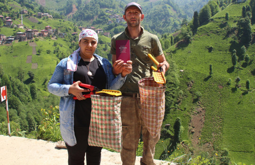 Salgın ayırınca bakanlıklar devreye girdi! Rize'de yeniden kavuştular