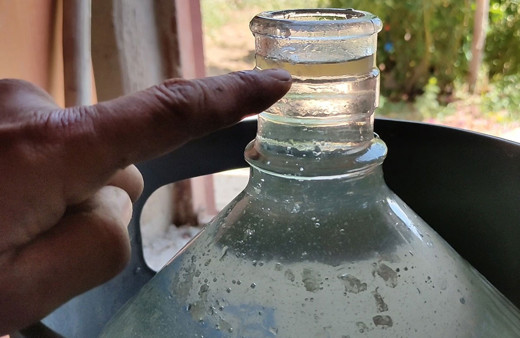 Burdur köyünde hobi olarak dikmeye başladı gramını 100 TL'den satıyor