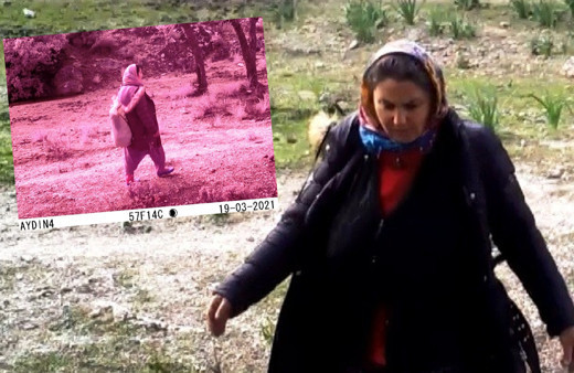 Aydın'da kimse ne yaptığını anlamadı! Fotokapan kaydetti o kadın aranıyor