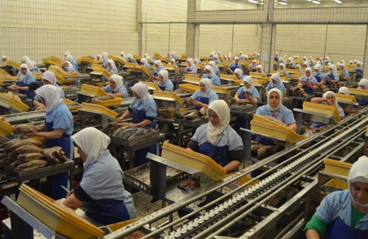 Dardanel'den Yunanistan'da satın alma