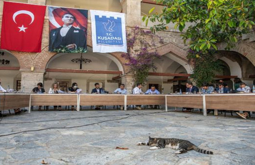 Kuşadası'nda evcil hayvan satışı yasaklandı