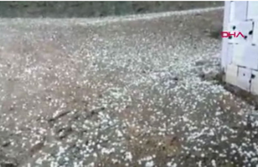 Ordu'ya ceviz büyüklüğünde dolu yağdı köylülerin zor anları kamerada