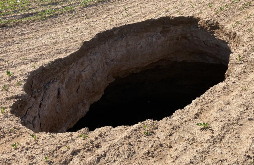 Konya'da tedirgin eden görüntü! Çevresinde hemen önlem alındı