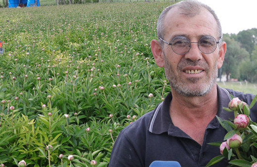 7 yıl önce Hollanda'dan getirip Yozgat'ta ürettiler! Sipariş yağıyor otobüslerle yolluyorlar