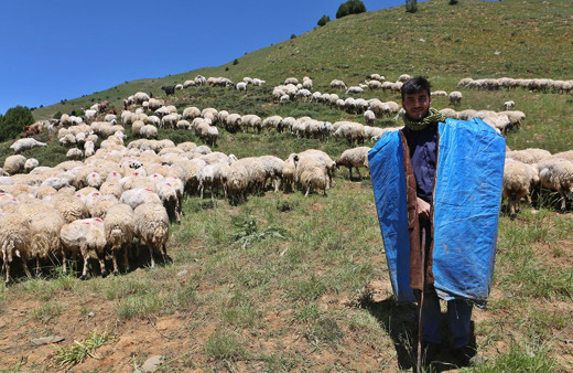Çobanlık yaparken Robert Koleji'ni kazandı, sırada Tilburg Üniversitesi var