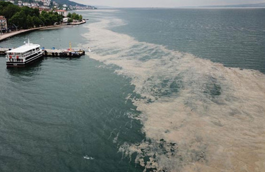Müsilaj seferberliği başlıyor! Çevre ve Şehircilik Bakanlığı'ndan genelge