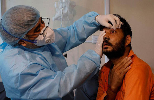 Hindistan'da Covid-19'dan kurtulan kara mantara yakalanıyor! Vaka sayısı açıklandı