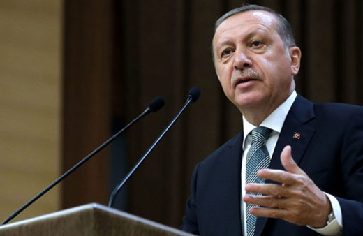 Cumhurbaşkanı Erdoğan orman yangınlarında terör izi iddialarına cevap verdi