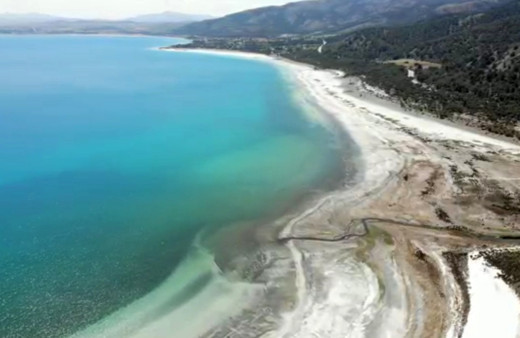 Salda Gölü'nü kanalizasyon değil inekler kirletmiş