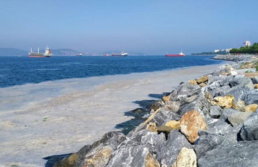 Müsilaj sorunu için Meclis Araştırma Komisyonu kuruldu