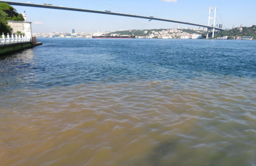 İstanbul Boğazı müsilajdan sonra şimdi de kahverengi akıntı