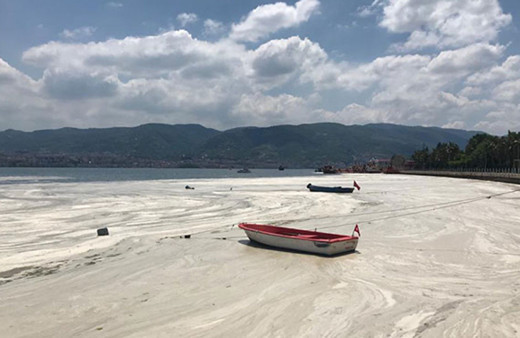 Marmara Denizi'nde ölümcül sonuç! Zehirli gaz kalıcı olur!