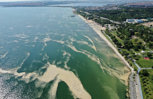 Florya sahilini de müsilaj sardı