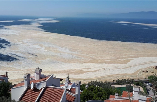 İstanbul'da müsilaj temizleme çalışmaları sürüyor