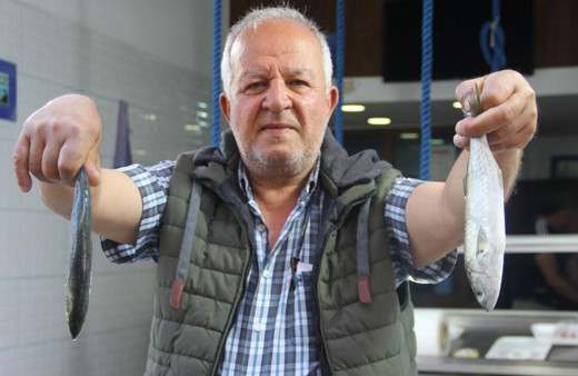 Marmara’daki müsilajdan kaçan çinekop Sinop’ta tutuldu