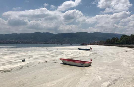 Meteoroloji Uzmanı Güven Özdemir: Hava sıcaklığı müsilajı da artıracak