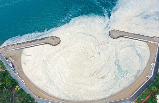 Caddebostan Sahili'nde durum korkunç! Müsilaj yoğunluğu arttı