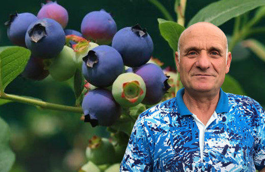 Kilosu 80 TL'den satılıyor Trabzon'da ek gelir olarak ekti yıllık kazancı dudak uçuklattı!