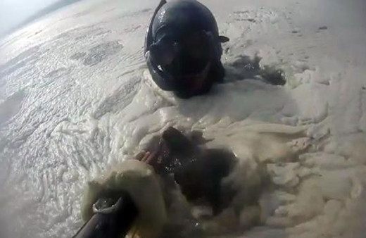 Balıkçılık ve Su Ürünleri Genel Müdürü Mustafa Altuğ Atalay: Müsilajın balık ve midyeye etkisi yok