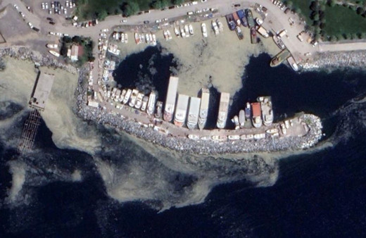 Profesörden korkutan 'müsilaj' açıklaması: Akdeniz de risk altında