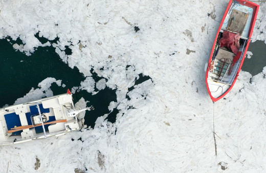 Durum vahim! Tarihi Gelibolu Yarımadası sahillerini müsilaj sardı