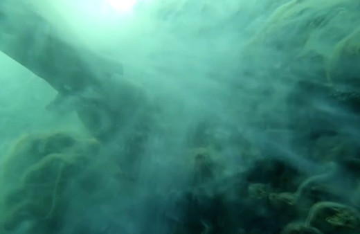 Marmara'da deniz dibindeki yoğun müsilaj görüntülendi durum çok fena