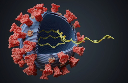 Antikorlardan kaçabilir! Mutasyonda 'Süper hücre' riski