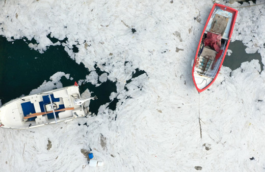 Marmara Denizi'ni etkisi altına alan müsilajın kaynağı ortaya kondu
