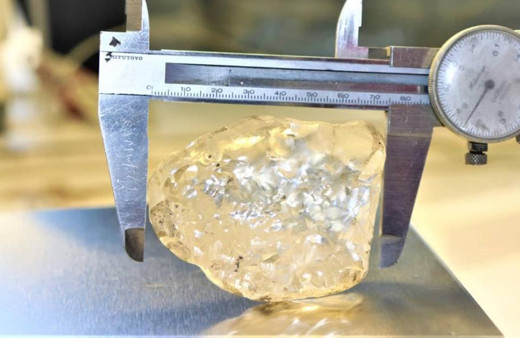 Dünyanın üçüncü büyük elması bulundu! O ülkeye umut getirdi