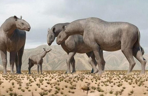 Bilim insanları açıkladı! Yeni tür keşfedildi: 4 fil ağırlığında 7 metre uzunluğunda