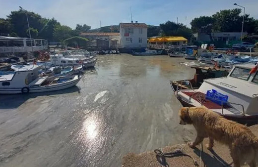 Bozcaada'da müsilaj görüldü! Adalılar bu görüntüye kahroldu!