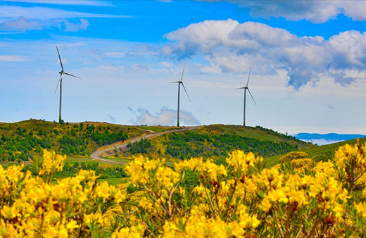 Türkiye'nin temiz enerji haritasında öne çıkan iller belli oldu