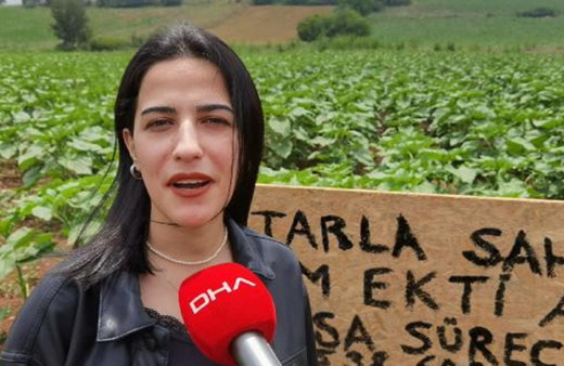 Almanya'dan memleketi Bursa'ya geldi tarlasını görünce şoke oldu: Komik bir durum