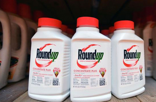 Alman ilaç şirketi Bayer'e ABD'de yeni glifosat davası açıldı