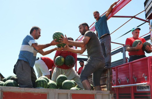Adana'da sıcağın altında günde 200 ton karpuz yüklüyorlar
