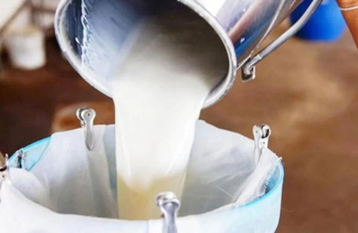 Tarım Bakanlığı çiğ süt desteği ödemelerine ilişkin esasları açıkladı