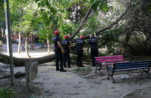 Bakırköy'de felaketten kıl payı dönüldü! Çocukların oynadığı parkta ağaç devrildi