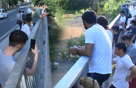 İstanbul'da 5 yıl önce başladı! Gören telefona sarıldı! Her gün izlemeye geliyorlar