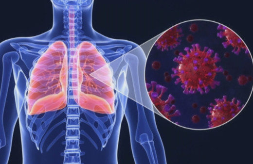 Kara mantardan sonra koronaya bağlı daha tehlikeli yeşil mantar çıktı