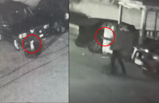 İstanbul'da lazer ışıklı zehirli ok ile vahşet! 20 saniyede öldü: Bulana 15 bin TL ödül