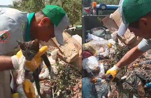 Manisa'da böyle vicdansızlık görülmedi! Vatandaşlar çöpte buldu