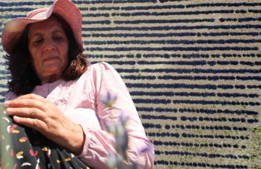 Kızı teşvik etti emekli öğretmenin çocukluk hayali gerçek oldu! Tunceli'de gelir elde ediyor